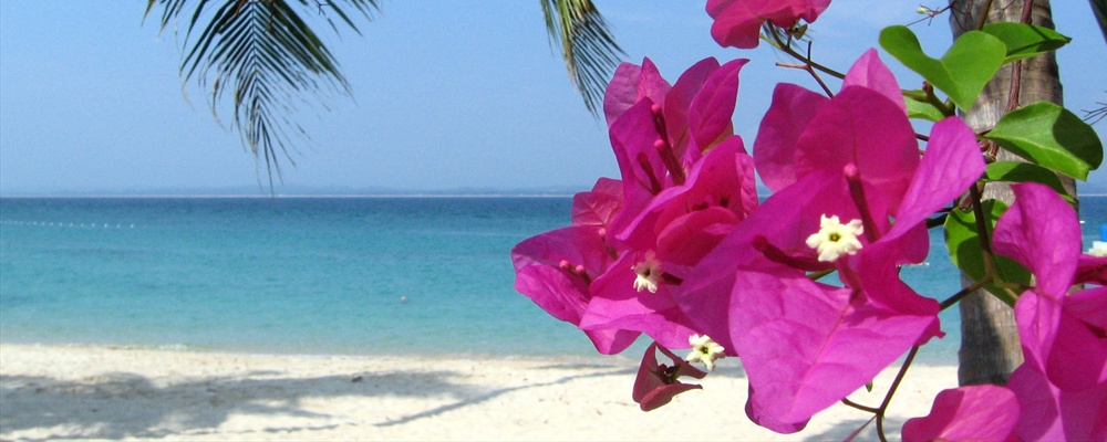 Flowers, Pulau Kapas